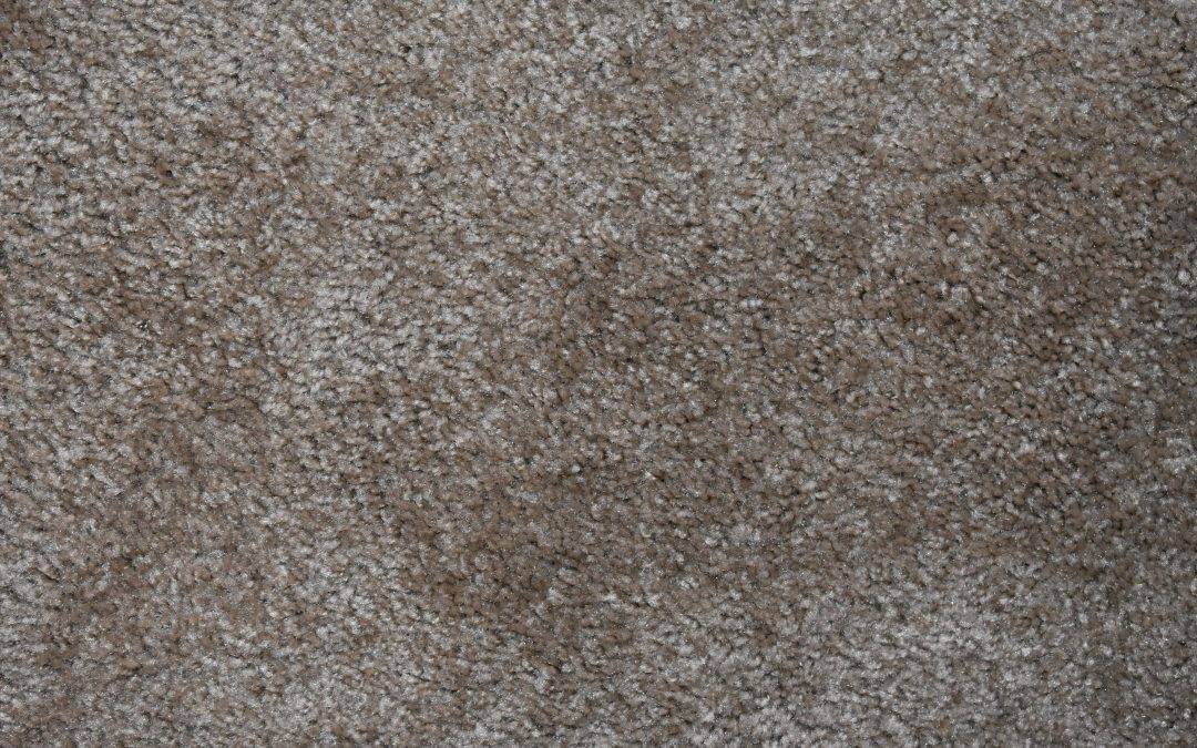 close up of carpet floor